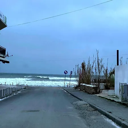 Elexon * Vama Veche